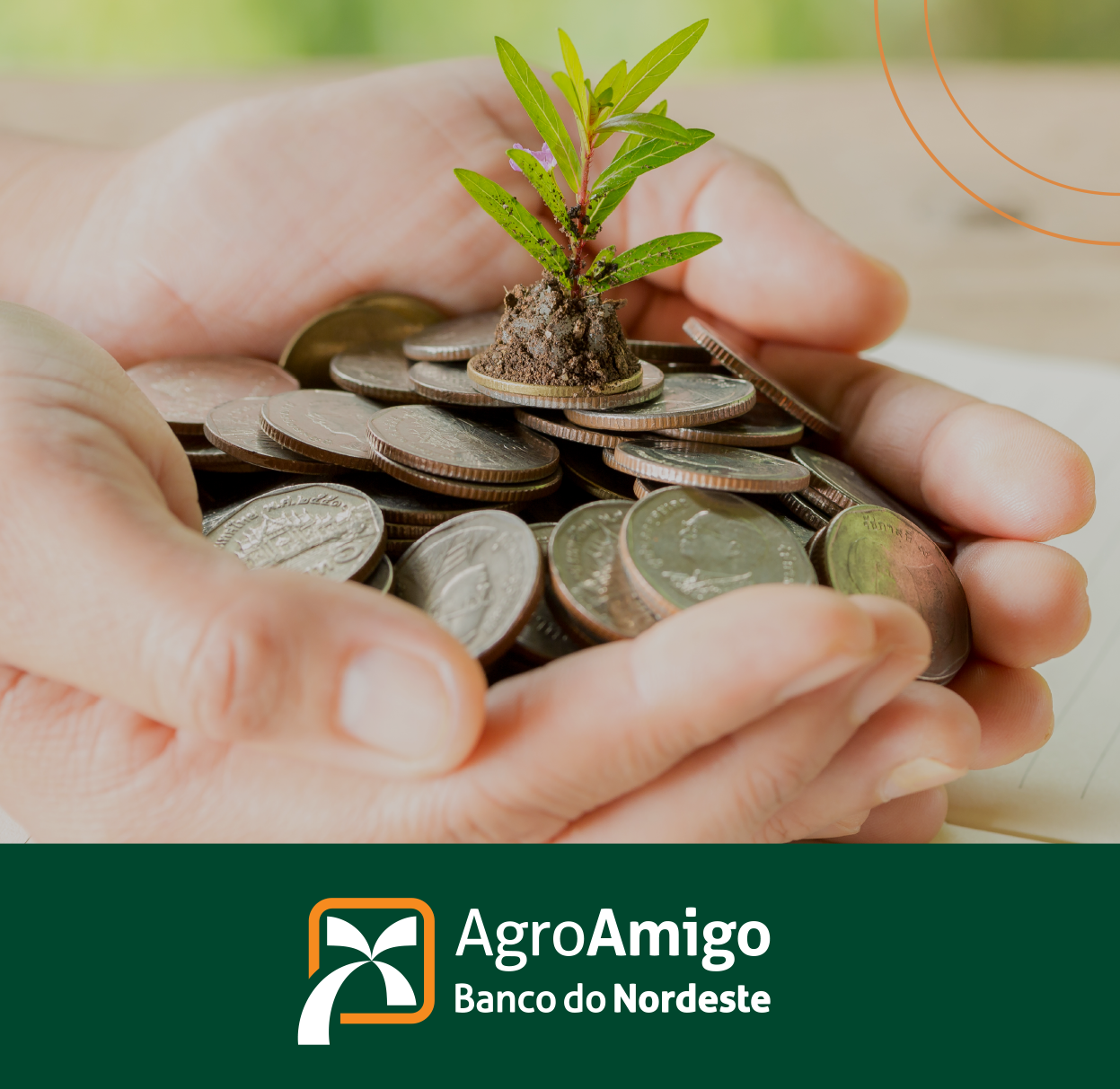 Sumário de Educação Financeira Para o Cliente Agroamigo | Universidade ...